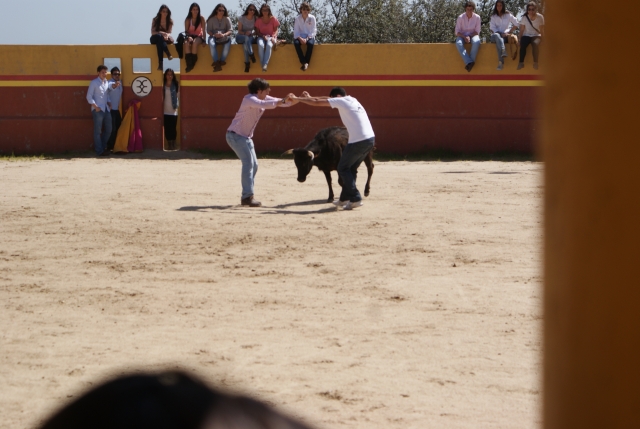 Dos valientes con la vaquilla
