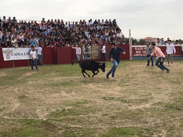 Fiestas privadas para grandes grupos