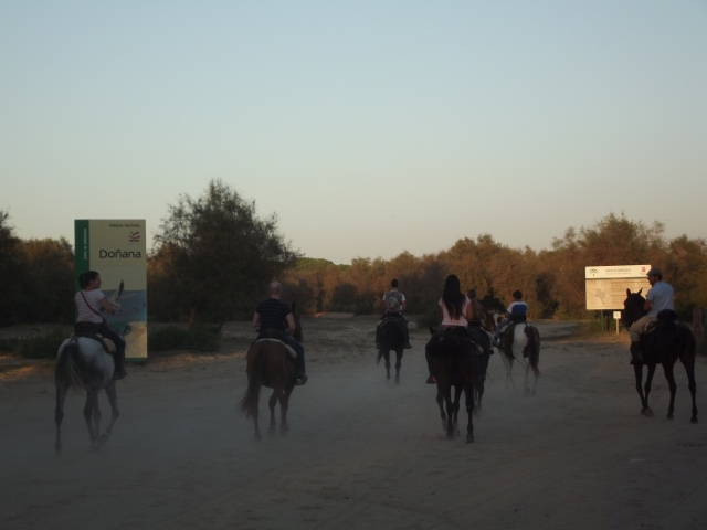 Cabalgando hacia el Parque