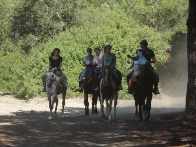 Adelantando camino