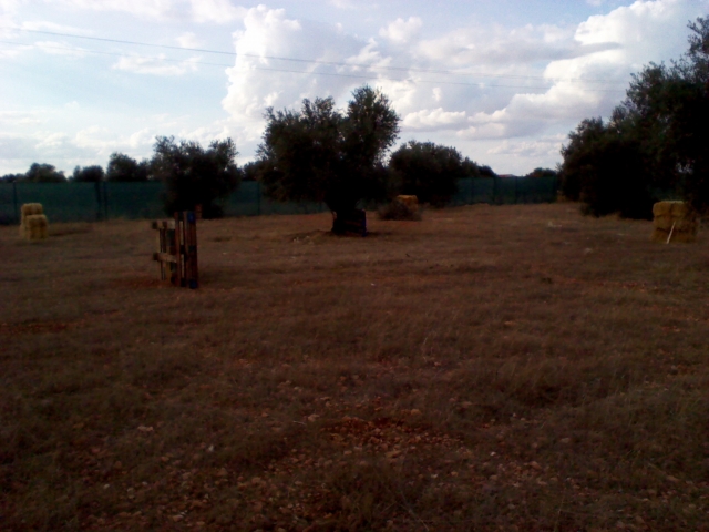 Pueden salir de cualquier sitio