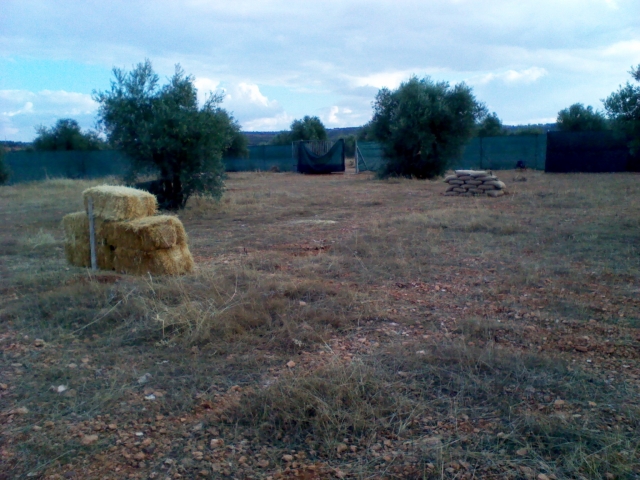 Con dos campos de juego