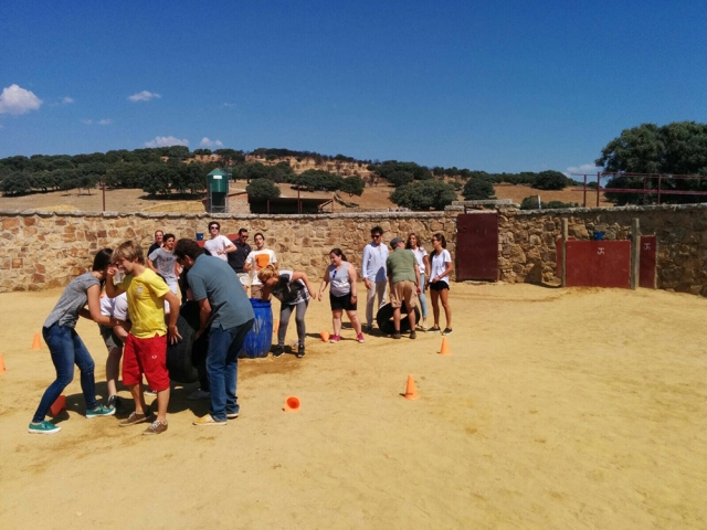  Gymkhana in the arena 