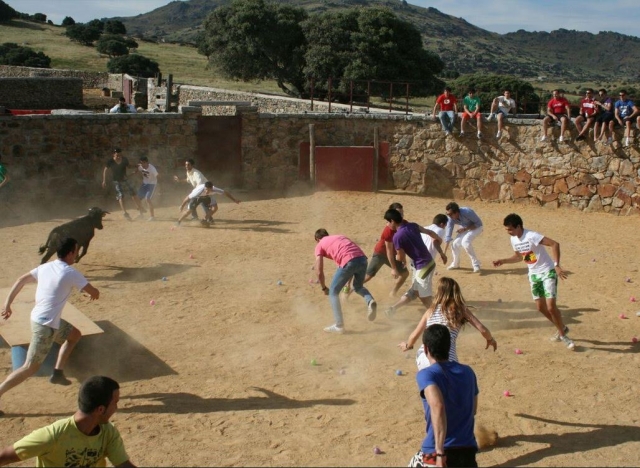  Games with heifers and colored balls 