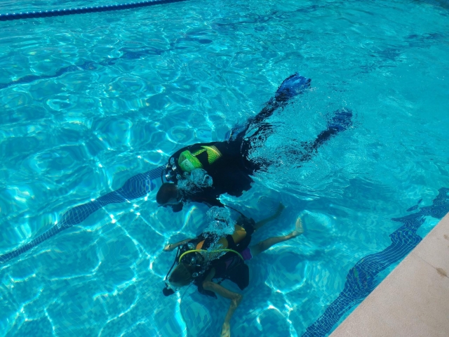  Mergulho na piscina 