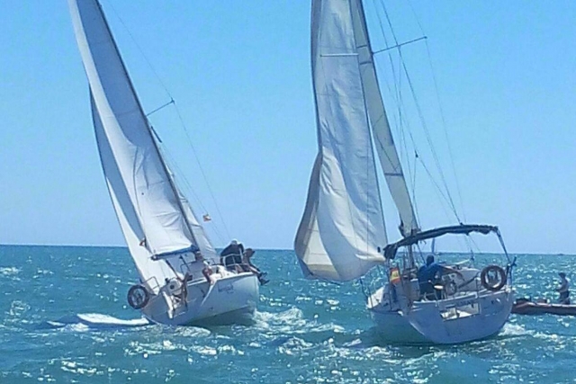  Veleiros no mar 