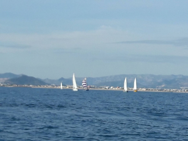 Regata de veleros
