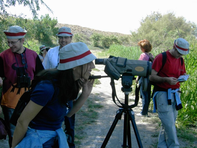  Observing through the telescope 