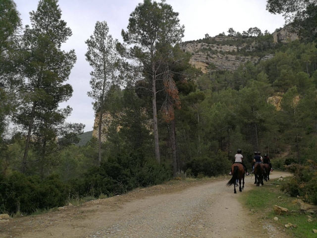 Camino a caballo con monitor guia