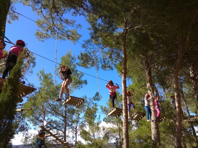 Recorriendo el circuito entre los arboles
