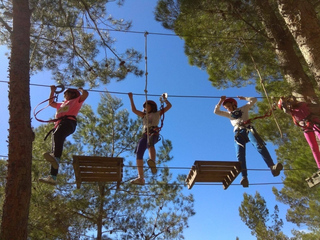 Concentrados en el puente con tablas y cables