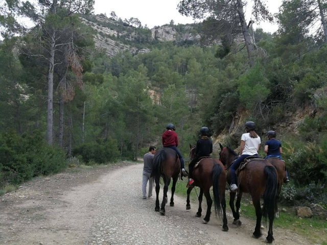 Paseo a caballo hacia el embalse valenciano
