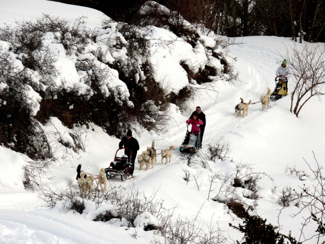 TRINEOS DE PERROS VALLE DE TENA