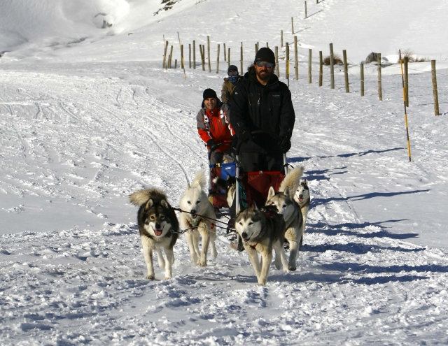 TRINEOS DE PERROS VALLE DE TENA