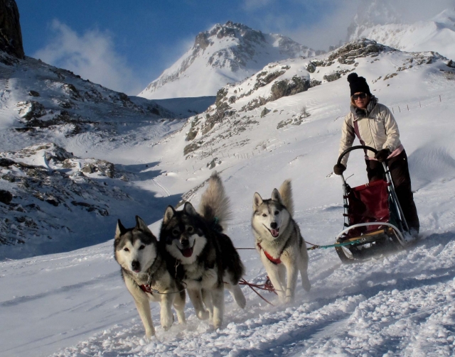 TRINEOS DE PERROS VALLE DE TENA