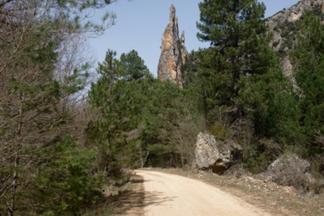  Itinéraires VTT 