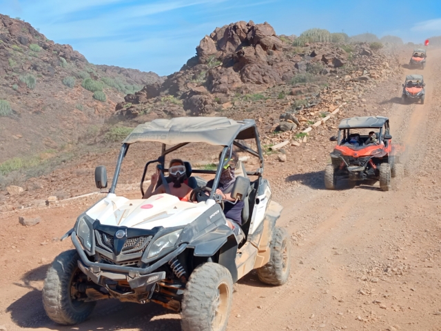 Tour en buggy