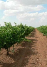 了解我们的庄园 