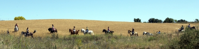 Paseo a caballo y coche de caballo