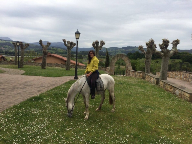  Cavallo al pascolo nel parco