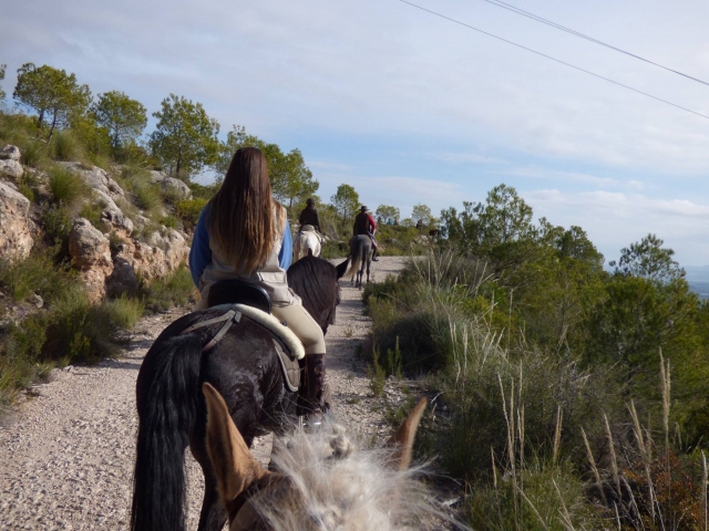  Équitation à Moratalla 