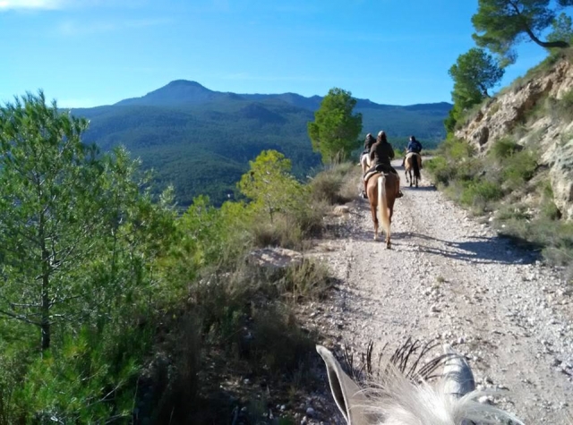  Venez monter à cheval à Moratalla 