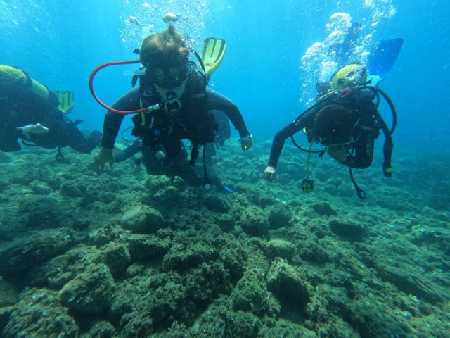 Buceo en Girona