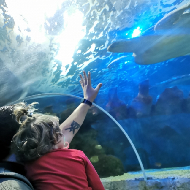 Túnel oceánico