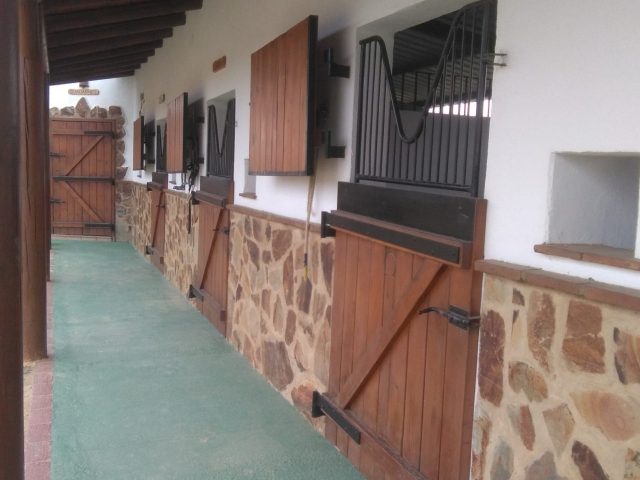 Boxes para los caballos