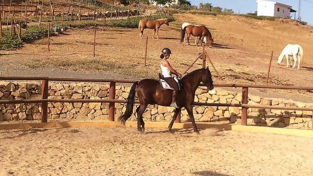 Clase de equitación al aire libre