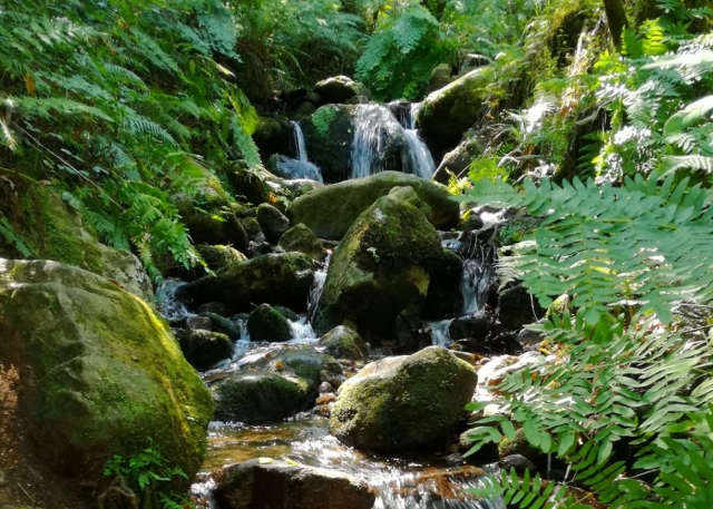 Agua saltando entre las rocas