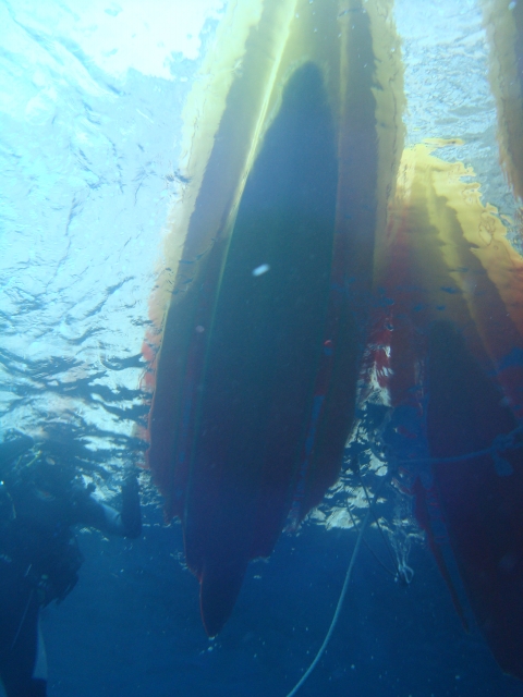 Kayak desde abajo