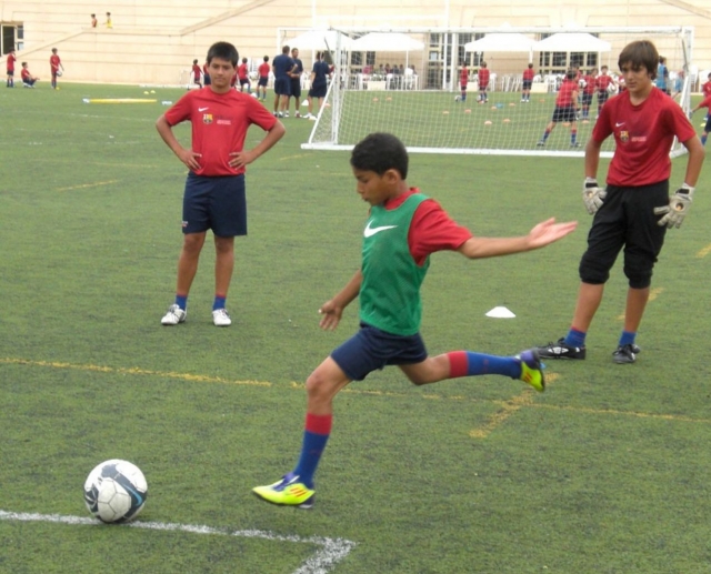  Training 