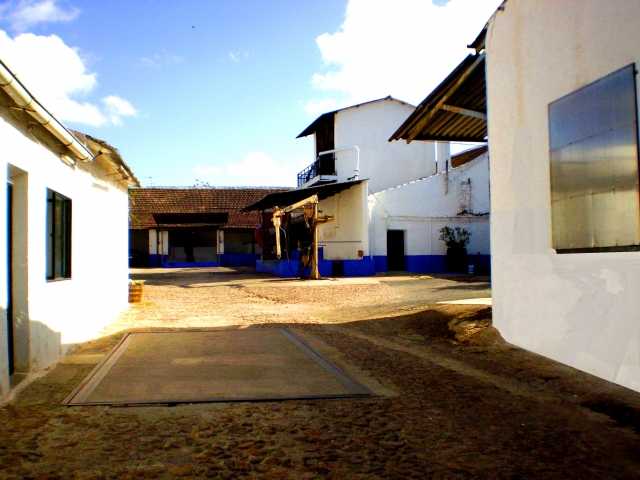 Entrada Bodega Amancio Menchero