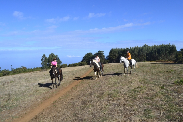 Atravesando el campo a caballo