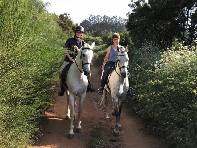 Entre matorrales con los caballos