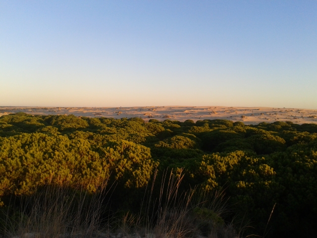 Atardecer en Doñana