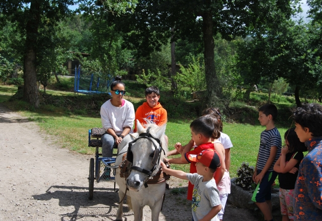 e-19661284-carro-de-caballos-en-negreira15247297526832.jpg