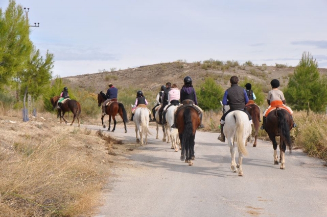 Rutas a caballo en Valdemoro