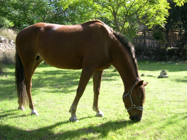 Naturaleza a caballo