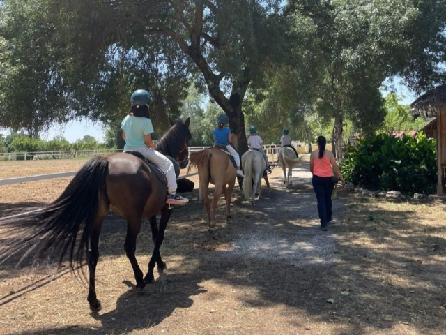  CEI El Jarama school farm 