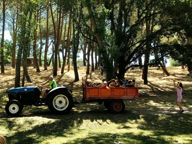  Facilities CEI El Jarama in Madrid 