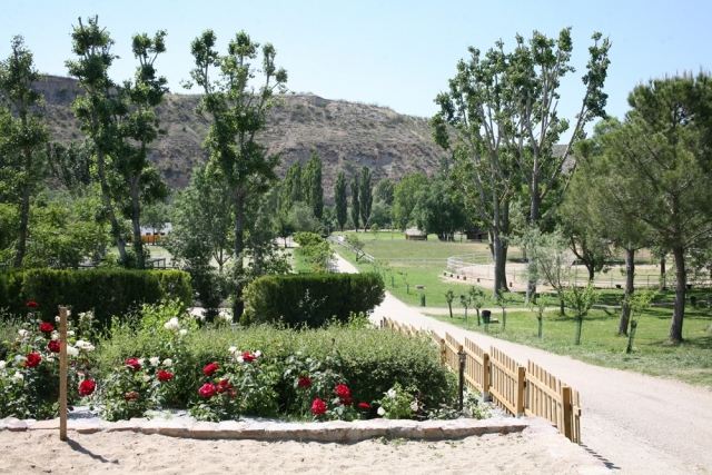  Let's go to the farm 