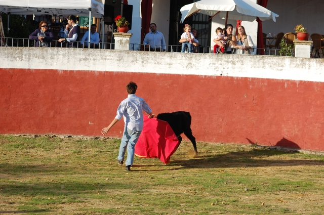  Comemore conosco uma capea 