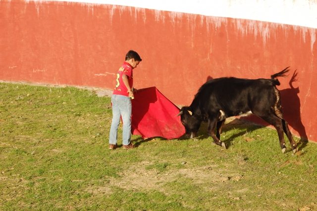  Capeas para comemorações