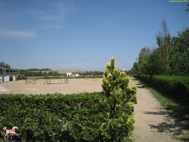 Pista de salto