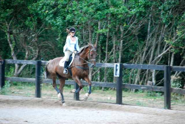  At a gallop 