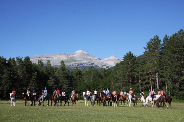  On horseback with the Pyrenees behind 