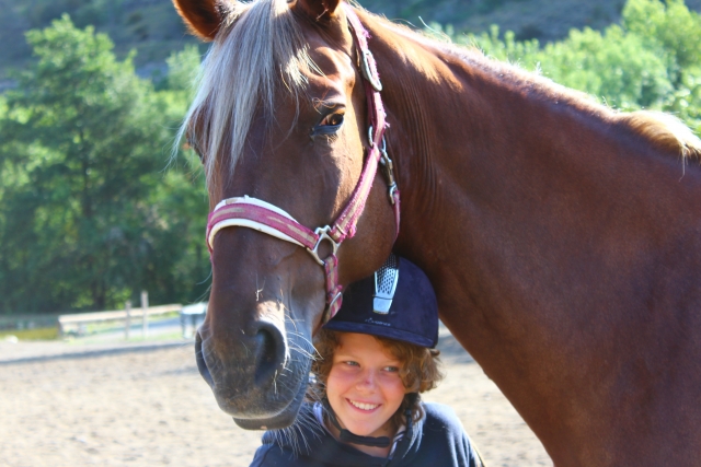  Under the horse's head 