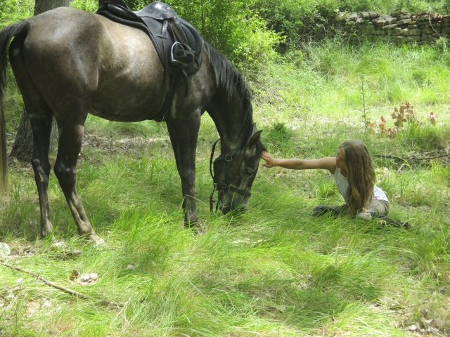  Caressing the animal 